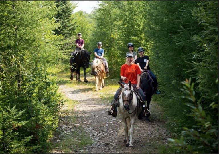 493855940 1230330455762551 7739139098688052317 n 768x540